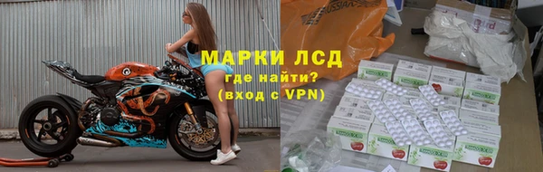 гидра Верея