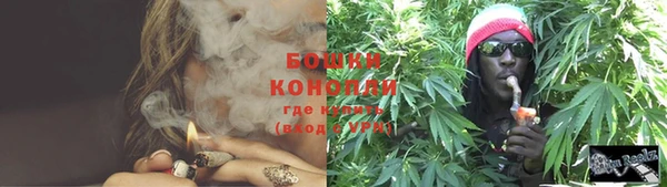 прущие крисы Бородино