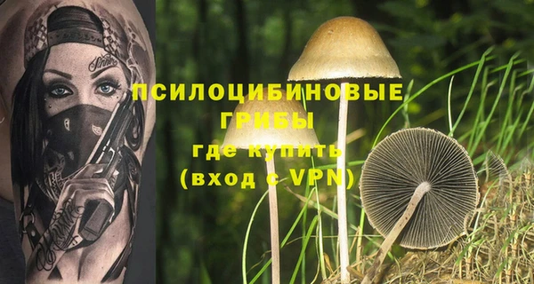 MDMA Premium VHQ Бронницы