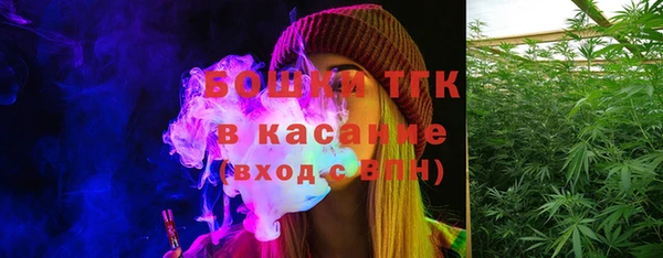прущие крисы Бородино